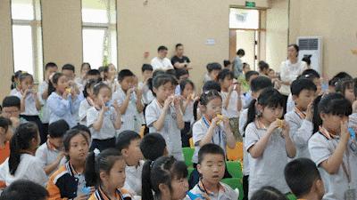 双色球开奖结果2024年第015期，幸运与惊喜的交汇