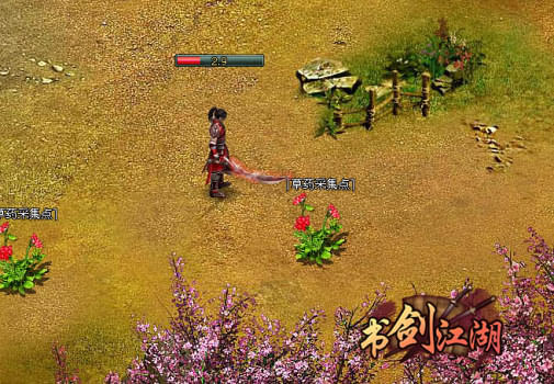 双色球峨嵋道姑预测诗字谜，探索神秘的世界