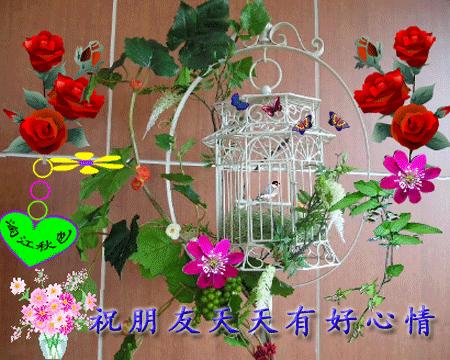 快乐的一天一年级写话