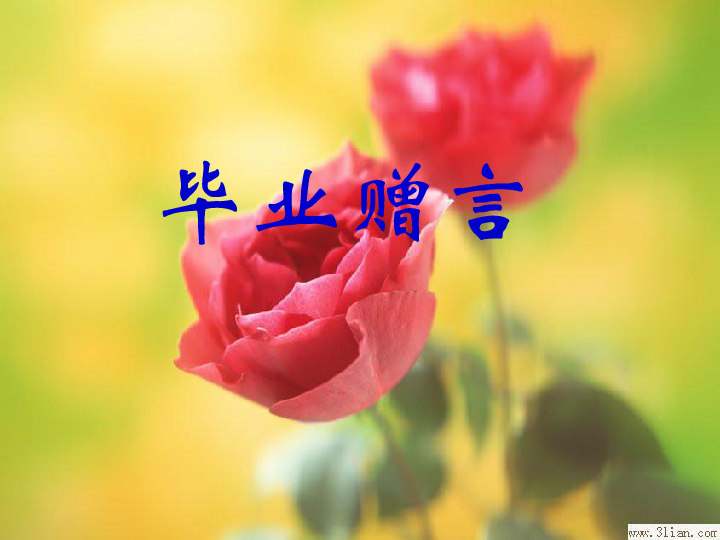 快乐的一天——一次难忘的美好经历