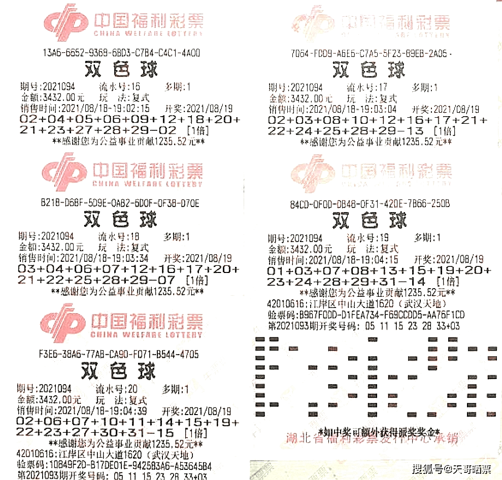 双色球今日开奖号码94，揭秘彩票背后的故事与期待