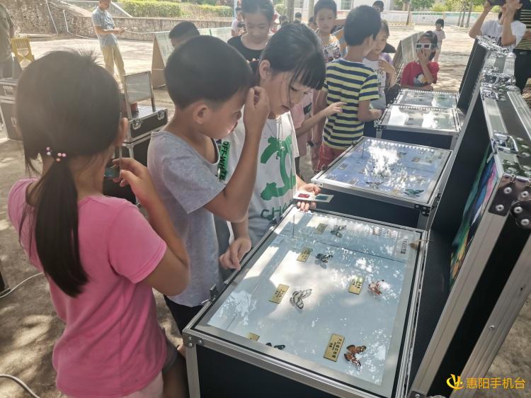 探索数字奥秘，在3D开奖结果查询中一个号码的故事