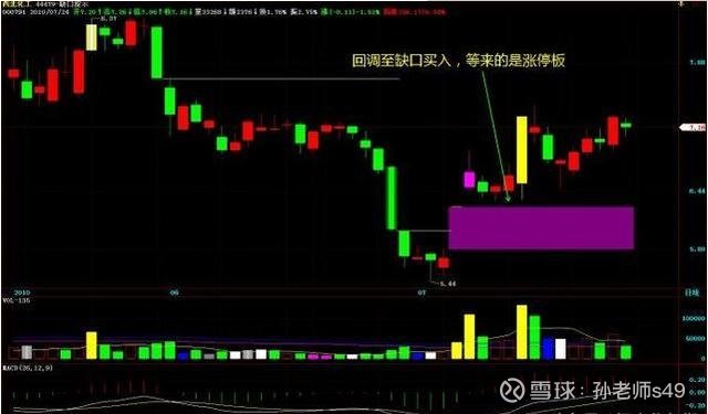 肚肚走势图快8，探索一种全新的数据可视化方式