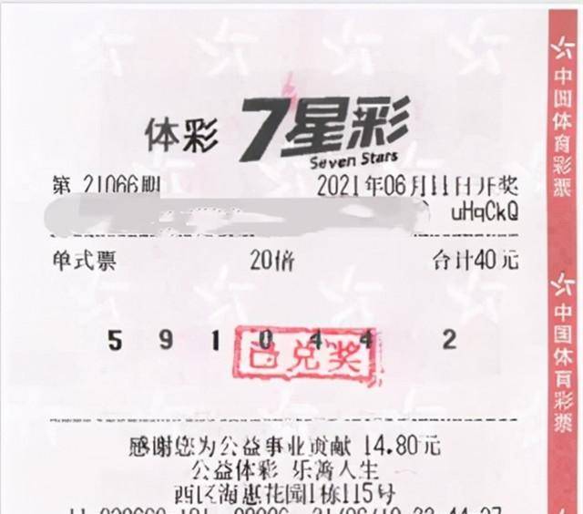 大乐透最新走势图中彩网——探索彩票世界的秘密