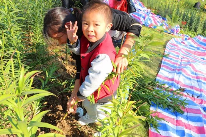 江西彩票新动态，探索最新开奖结果中的秘密与机遇
