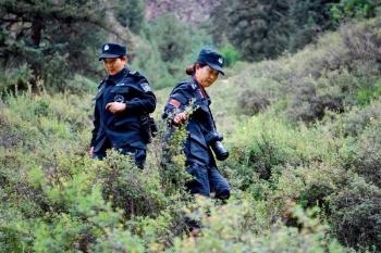 公司简介 第99页
