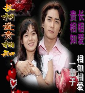 杨光的爱情故事，一场温馨而动人的相遇与相知之旅
