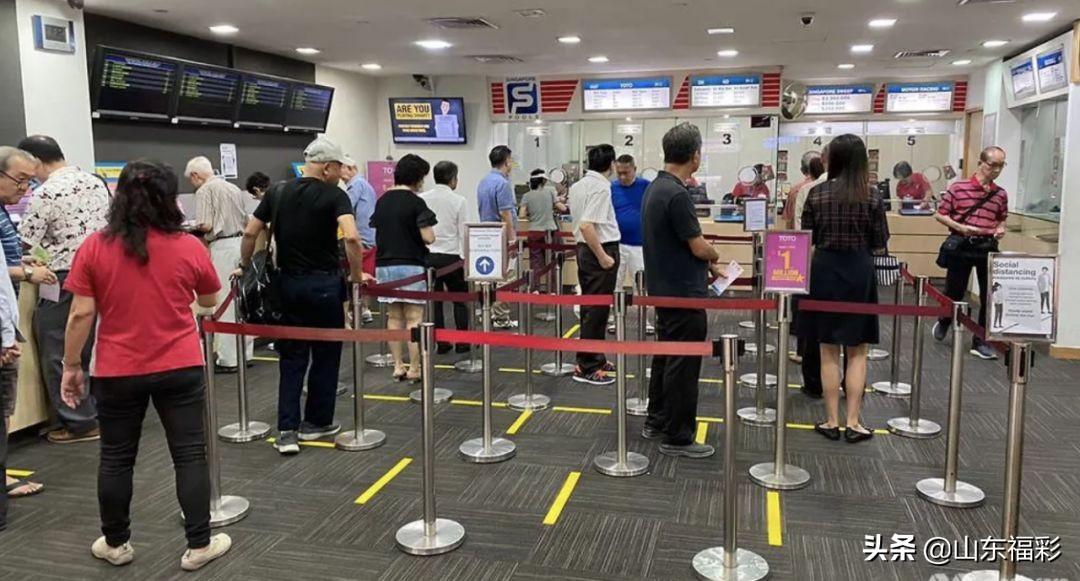 新加坡六福彩的开奖直播，透明、公正与乐趣的完美结合