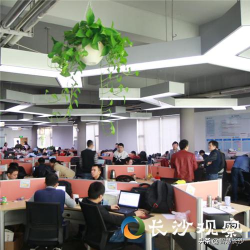 CSDN网站中文名字下的技术生态与社区力量