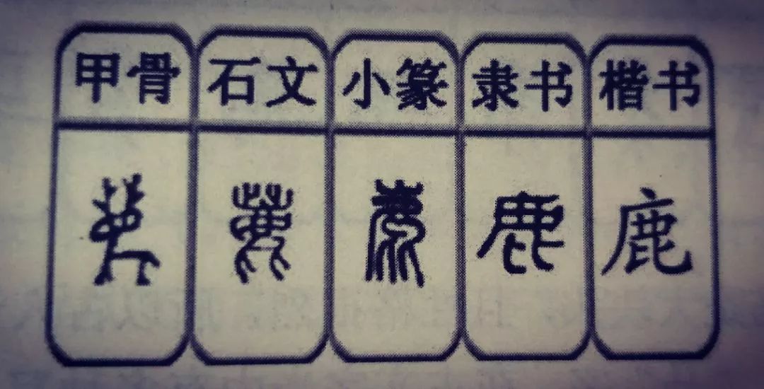 怪字开头的成语世界，探寻独特的文化内涵