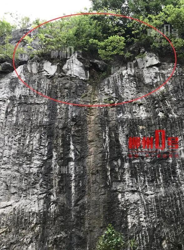 探索12345网址大全，一站式导航与实用资源汇总
