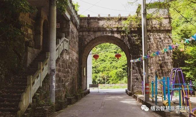 温州公交我看行，城市流动的血脉