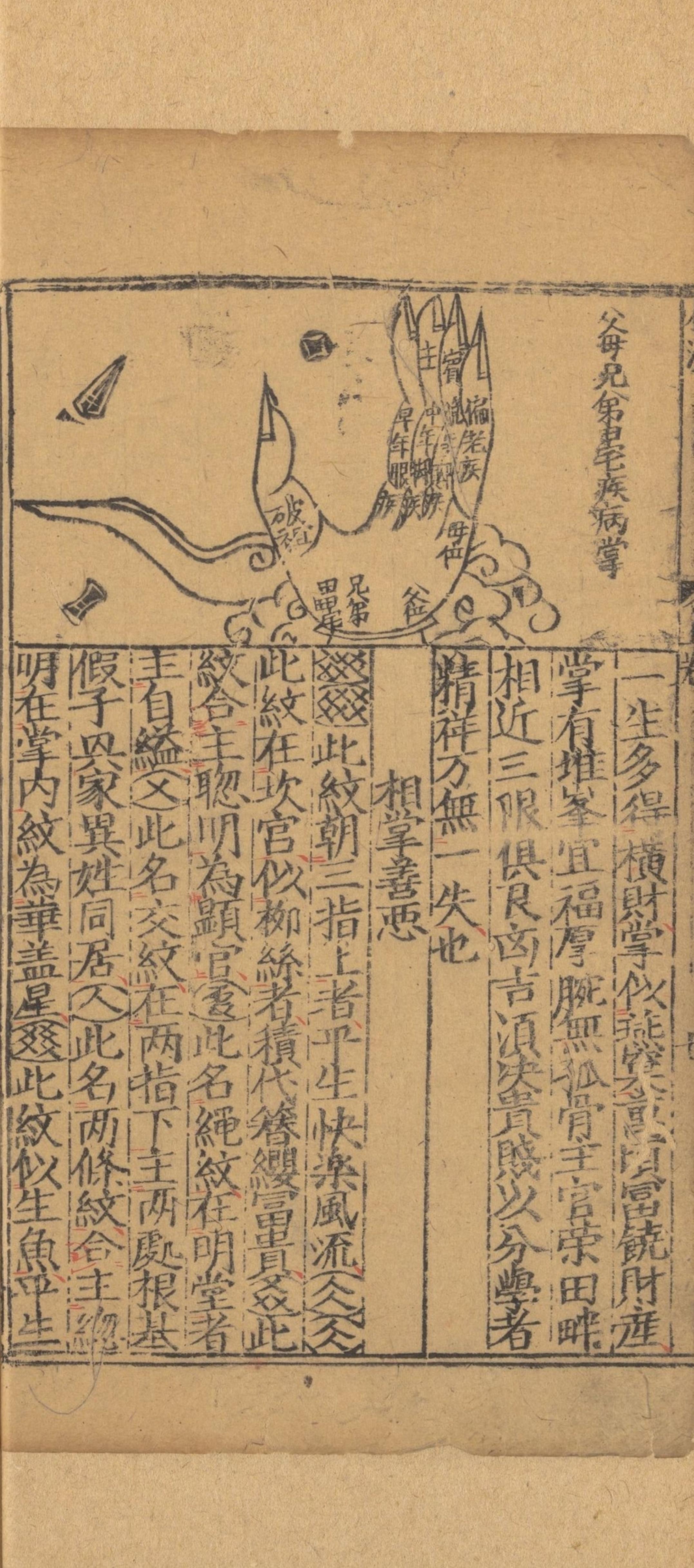 麻衣神相小说全文免费阅读，探寻神秘世界的奇幻之旅