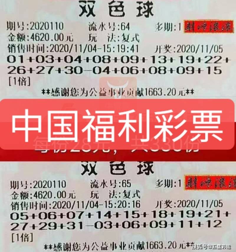 双色球近2000期浙江风采网，数据与梦想的交织