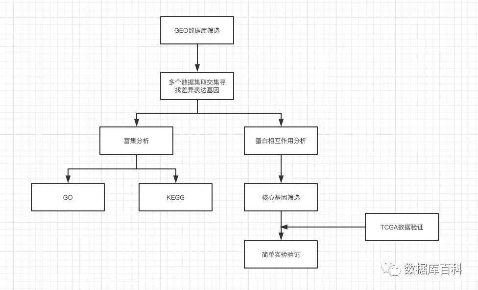 超级大乐透基本走势图带连线代分析与解读