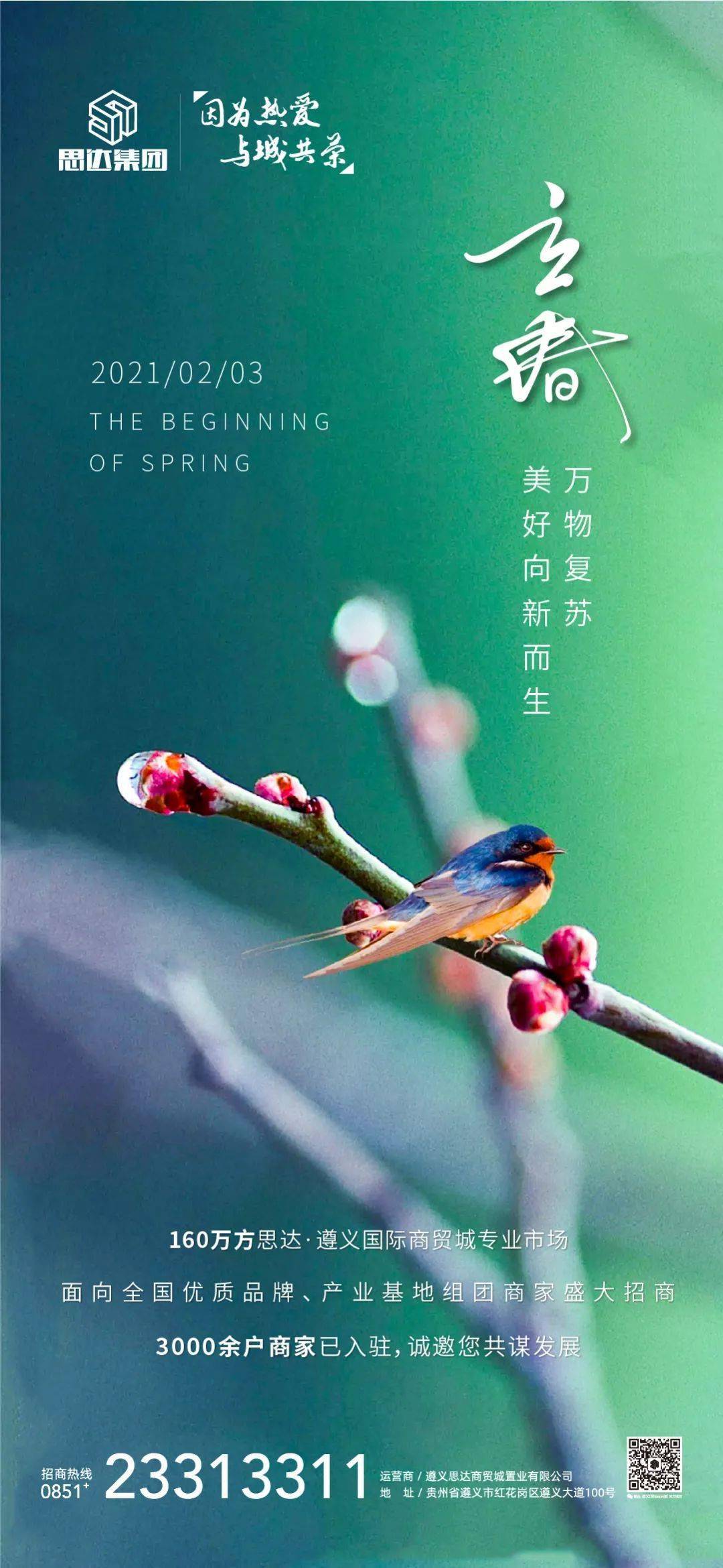 左岸春风今日一语断蓝汇总中的独特洞察