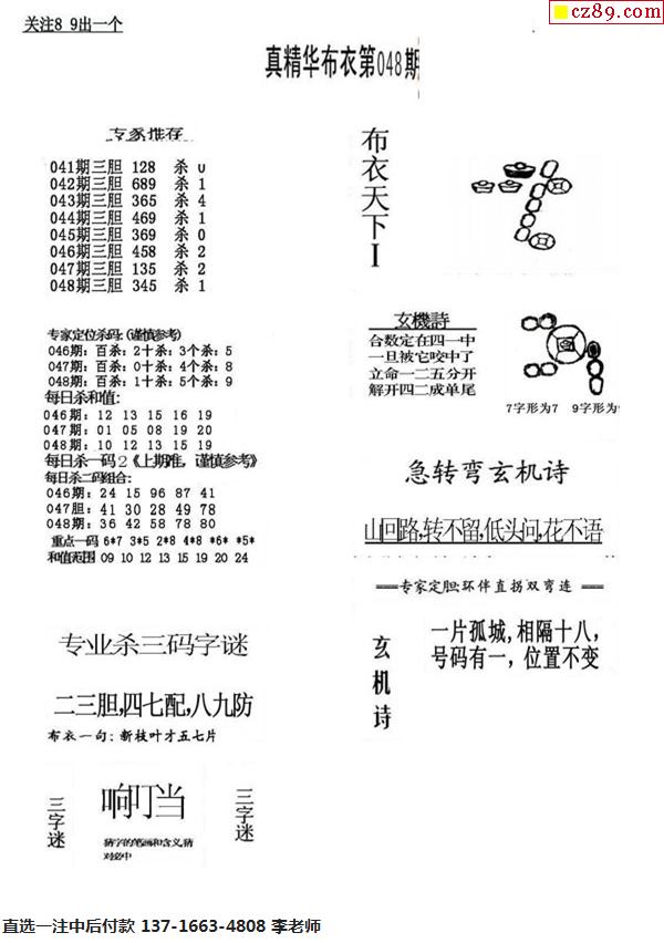 公司简介 第74页