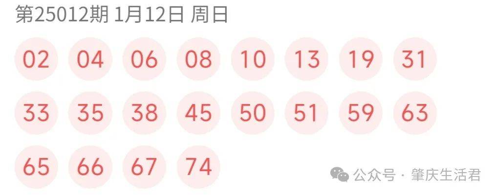 开奖结果分析