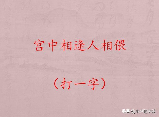 三毛字谜图，探索文字与图像的神秘交融