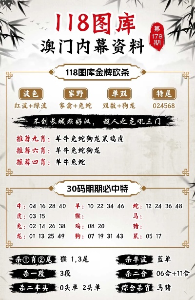 揭秘藏机天机全图查询方法