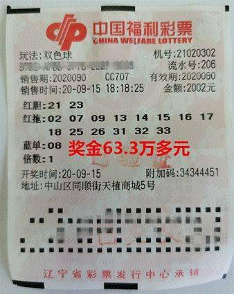 河南双色球中奖票样揭秘，幸运者的故事与背后细节