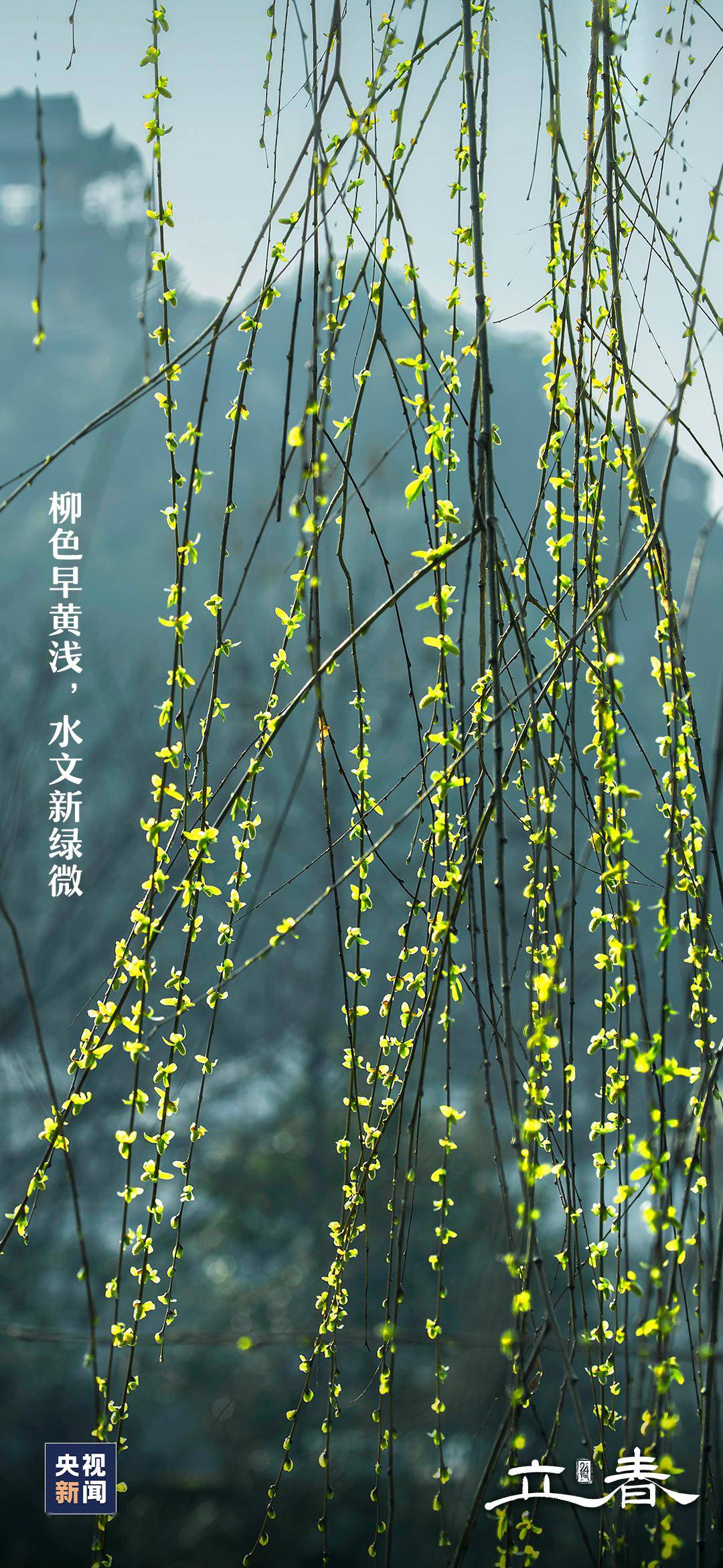 左岸春风今日一语断蓝天齐网