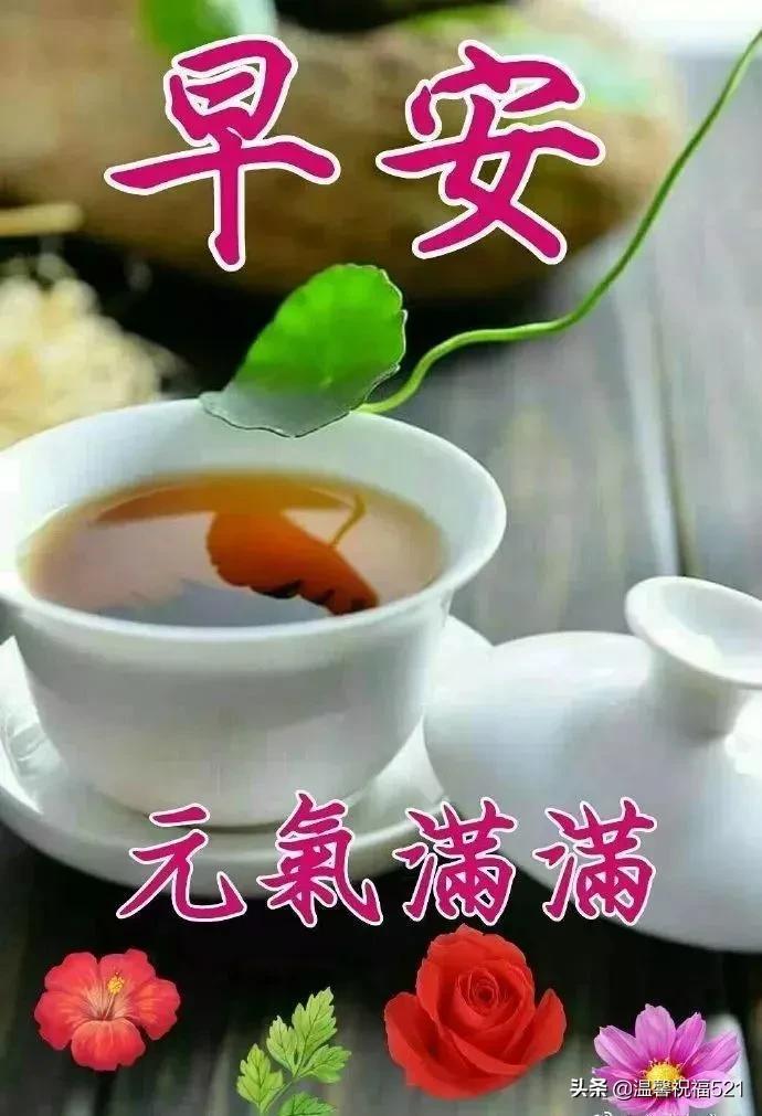 七星彩全文阅读免费结局，揭秘与探索