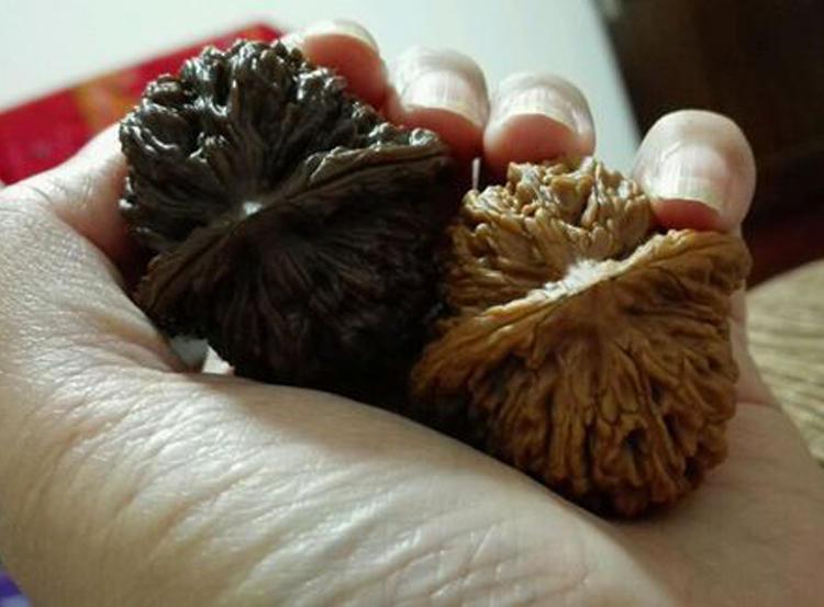 双色球彩票推荐，双色球号的魅力与策略