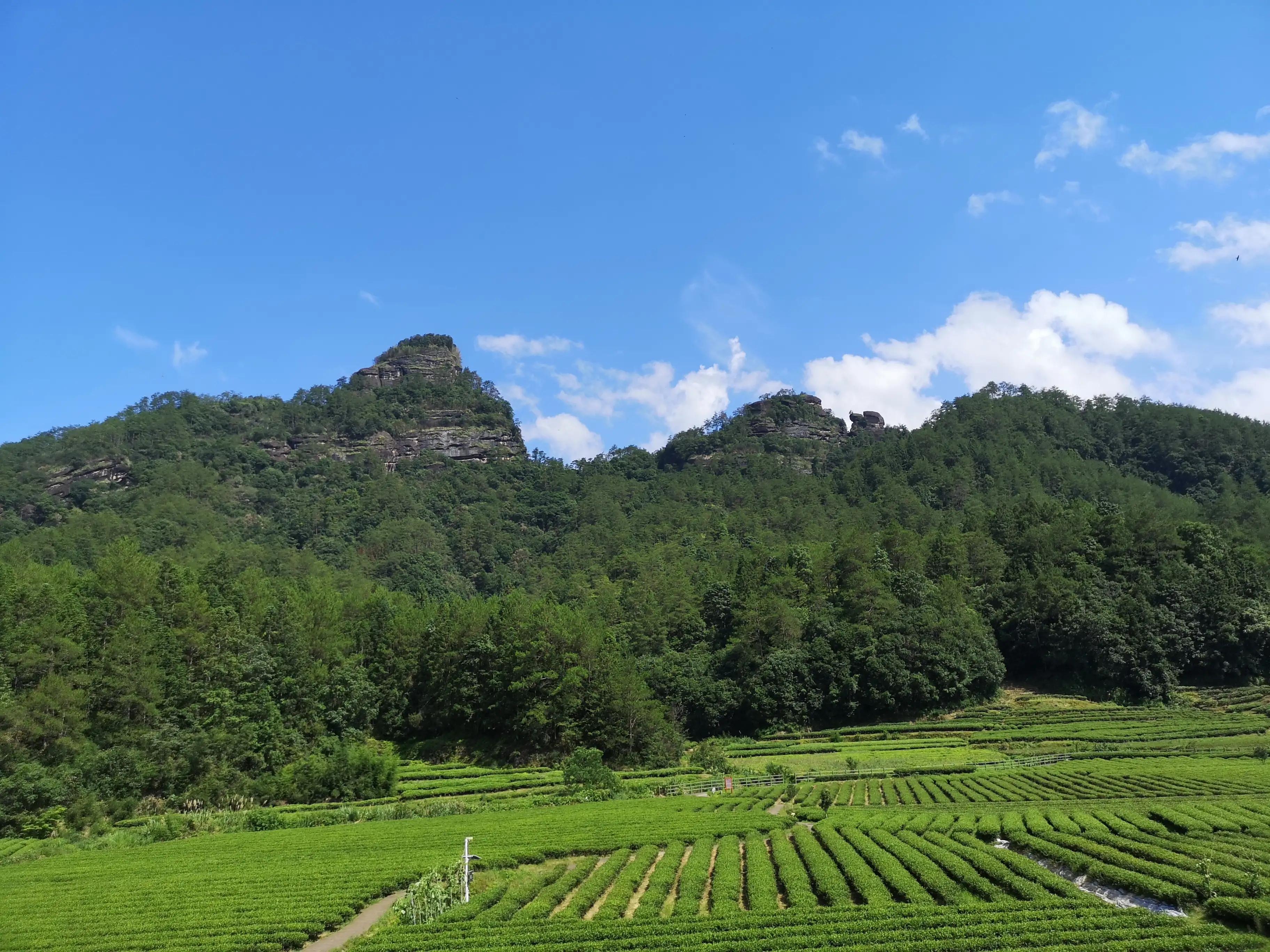 福建体育彩票春节停售时间2023年，传统与现代的交融与启示