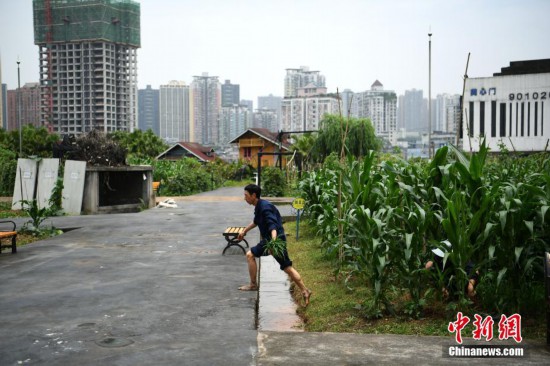重庆快乐8开奖结果查询，轻松掌握最新动态，体验无限乐趣