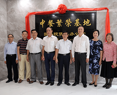 乐彩网官网直播，探索17500开奖世界的精彩之旅