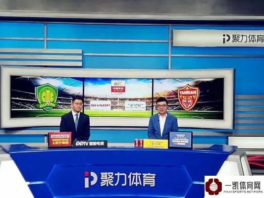 中国体育直播电视版，探索体育直播的新纪元
