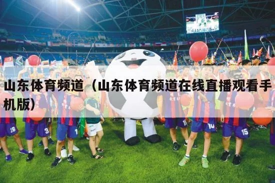 山东体育直播360度无插件，高清流畅的体育盛宴