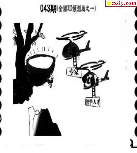 丹东全图3D图谜总汇第902期，探索与揭秘
