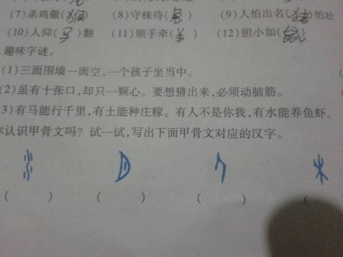 马后炮与太湖钓叟，字谜的世界及汇总解析