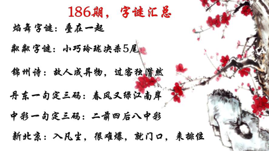 探索数字之谜，牛彩网总汇与3D字谜图的世界