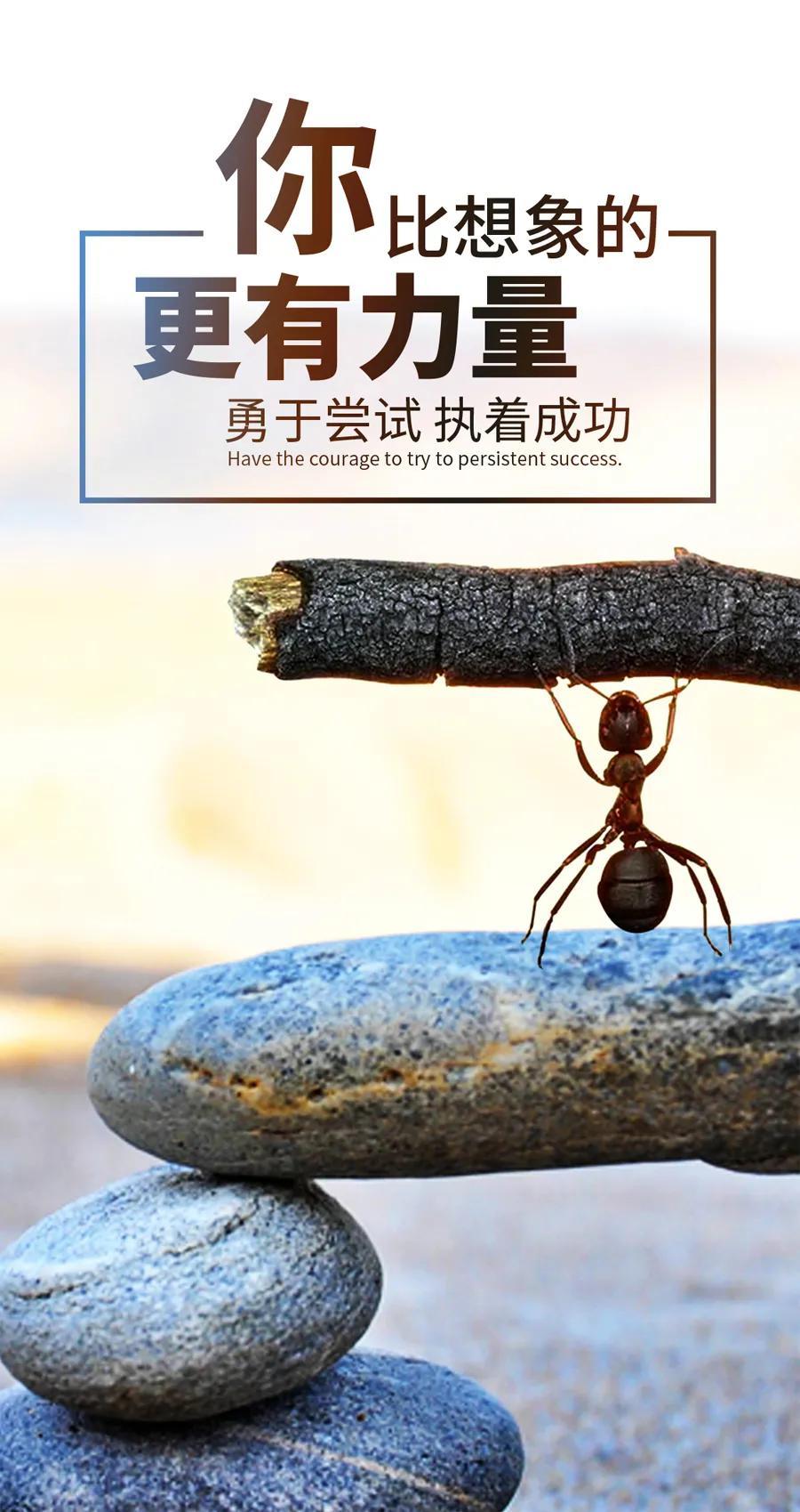 双色球2021年07期开奖号揭晓，幸运儿揭晓之际，激动人心的时刻来临