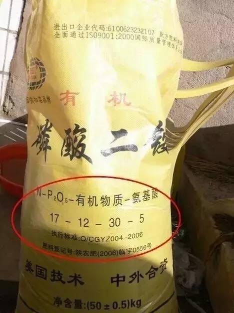 双色球2006年第004期开奖结果，幸运与梦想的交汇点