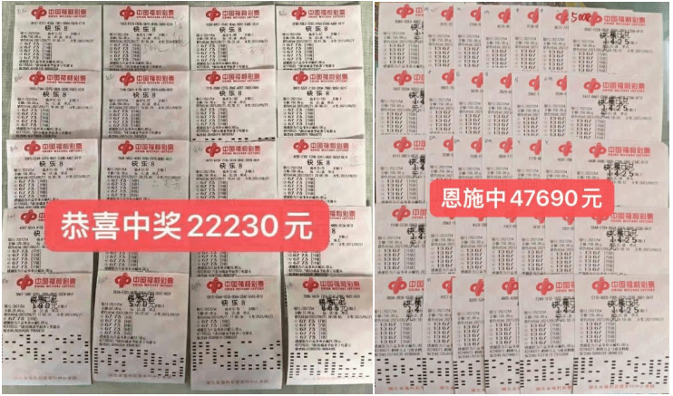 双色球今日开奖号码及中奖规则解析，探索3与1的奥秘