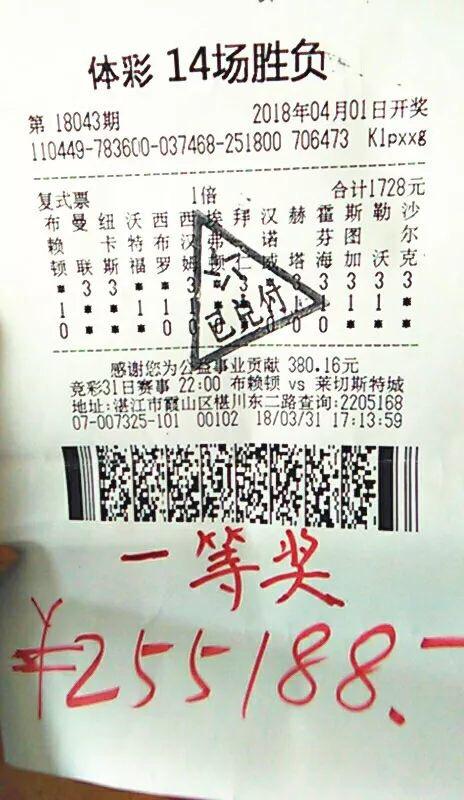 胜负彩开奖结果查询，揭秘彩票背后的故事