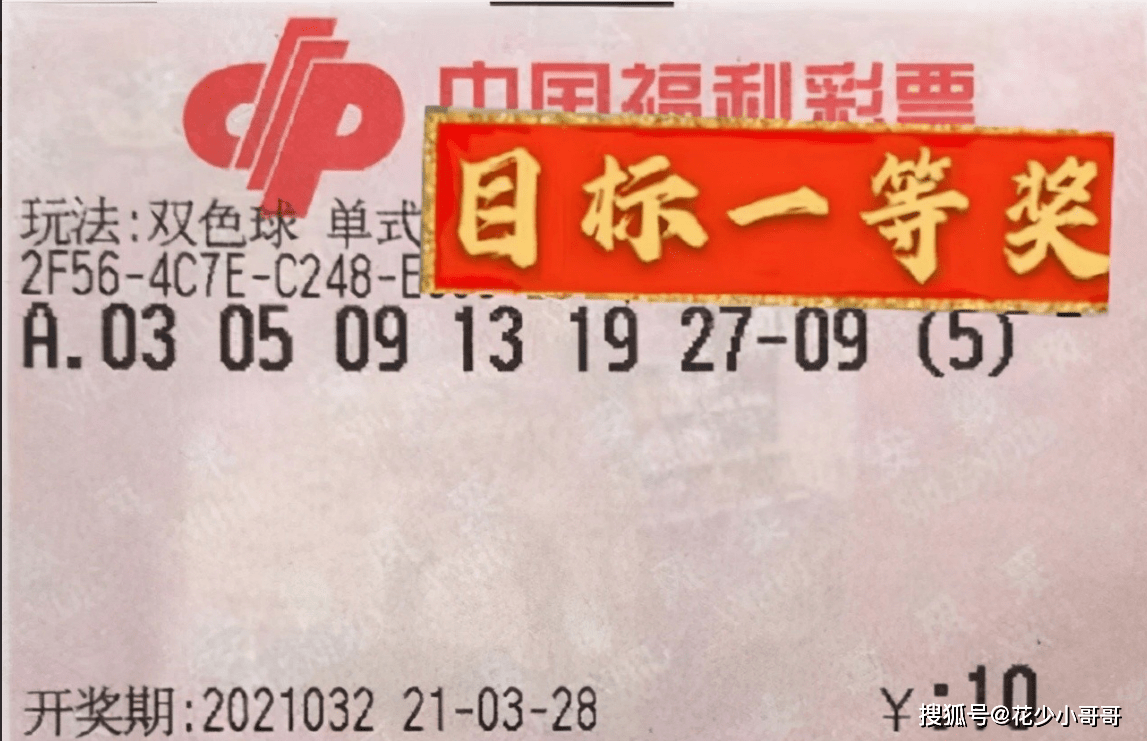 双色球081期开奖号码结果揭晓，幸运与期待的重逢