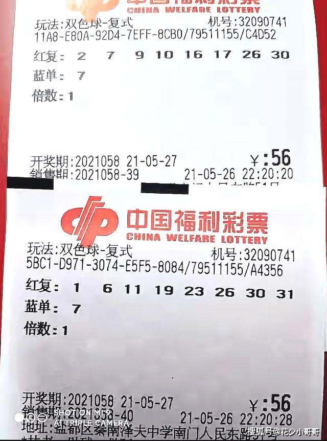 双色球第202385期开奖号码揭晓，梦想与希望交织的时刻
