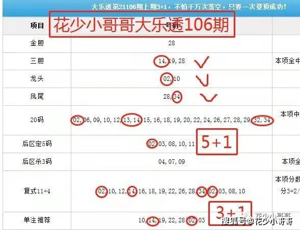 大乐透走势综合解析与探索