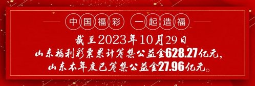 揭秘2024年中国福利彩票双色球的魅力与前景