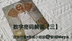 三毛寻码3D，探索数字世界的文学之旅