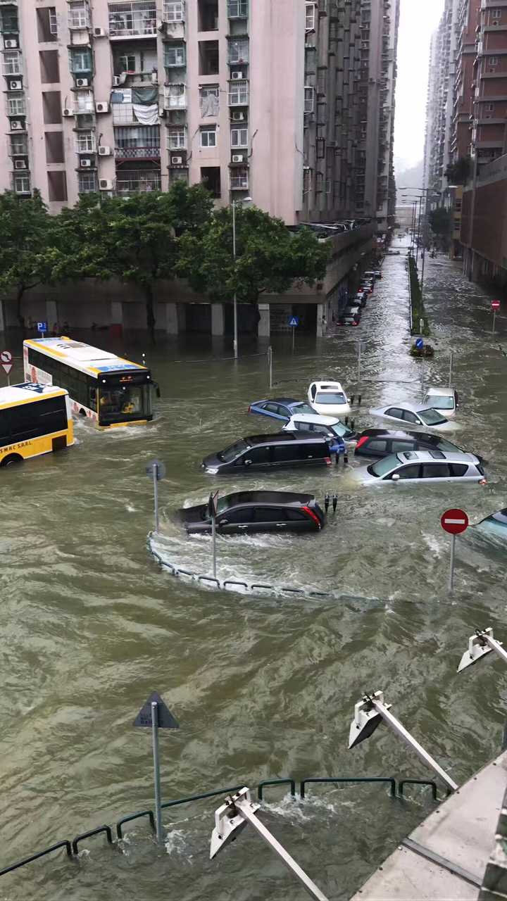 澳门六月台风与免费观看知乎视频完整版的探索