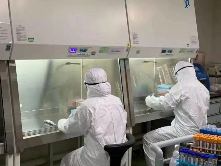 澳门六月天气解析，热还是冷？背后的原因探究
